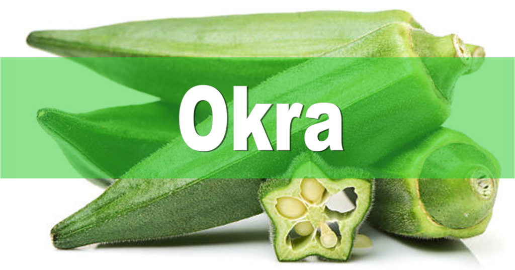 Health Benefits of Okra